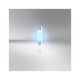 BULB NEOLUX 12V 10W SV8,5-8